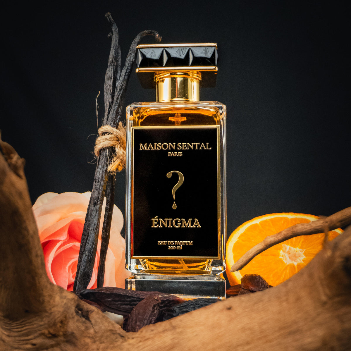 Enigma